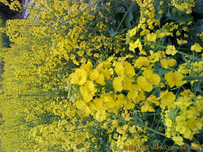 DSC00366.JPG