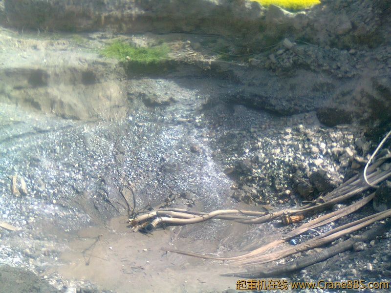 20122137.jpg