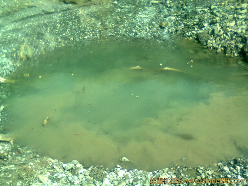 20122142.jpg