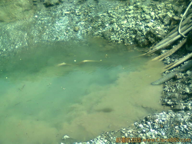 20122143.jpg