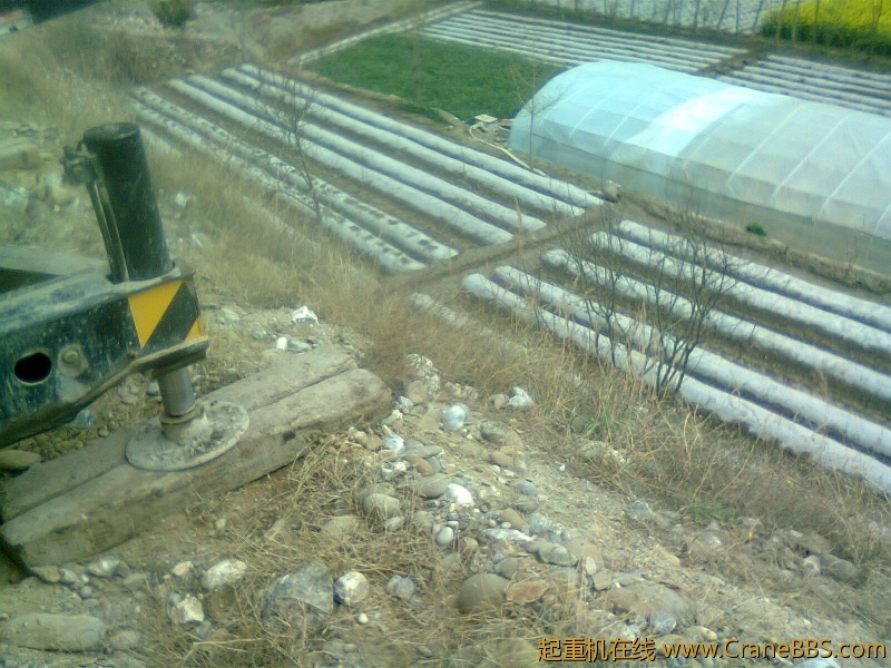 20122090.jpg