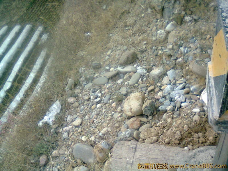20122088.jpg
