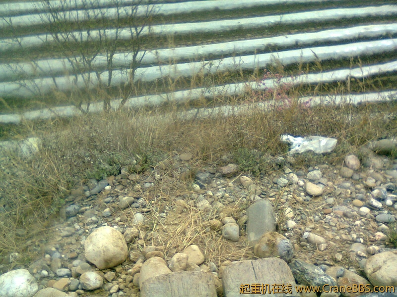 20122089.jpg