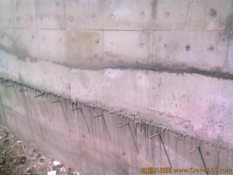 20122119.jpg