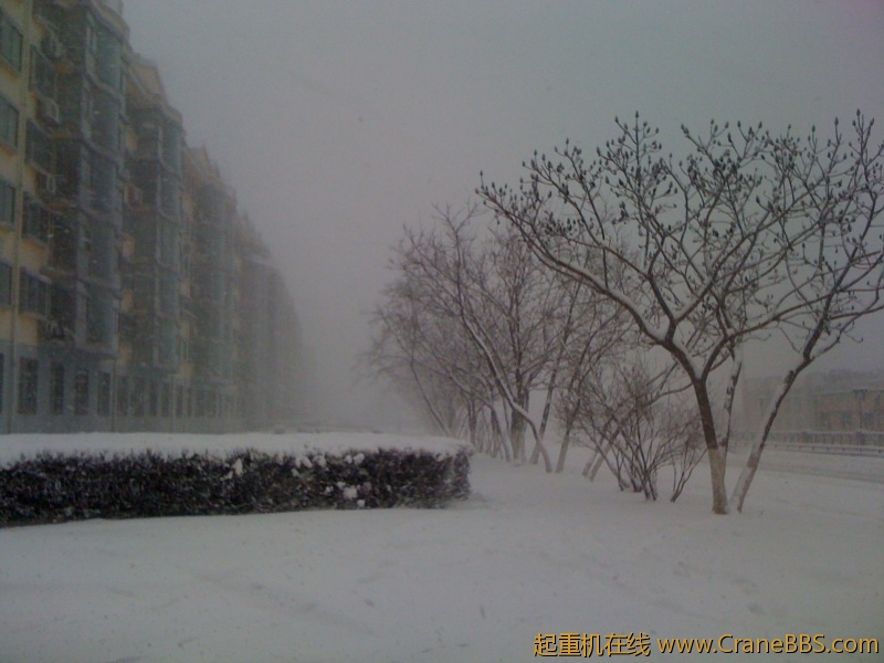 手机照片 6347.jpg