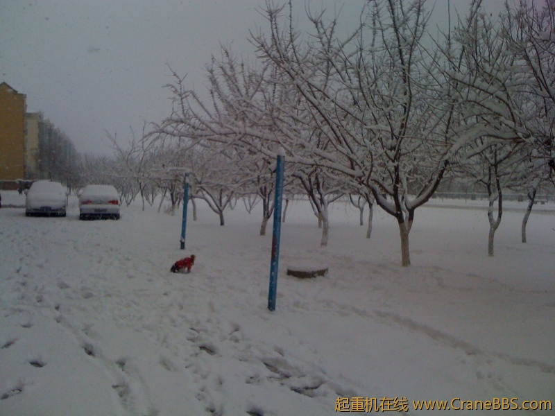 手机照片 6362.jpg