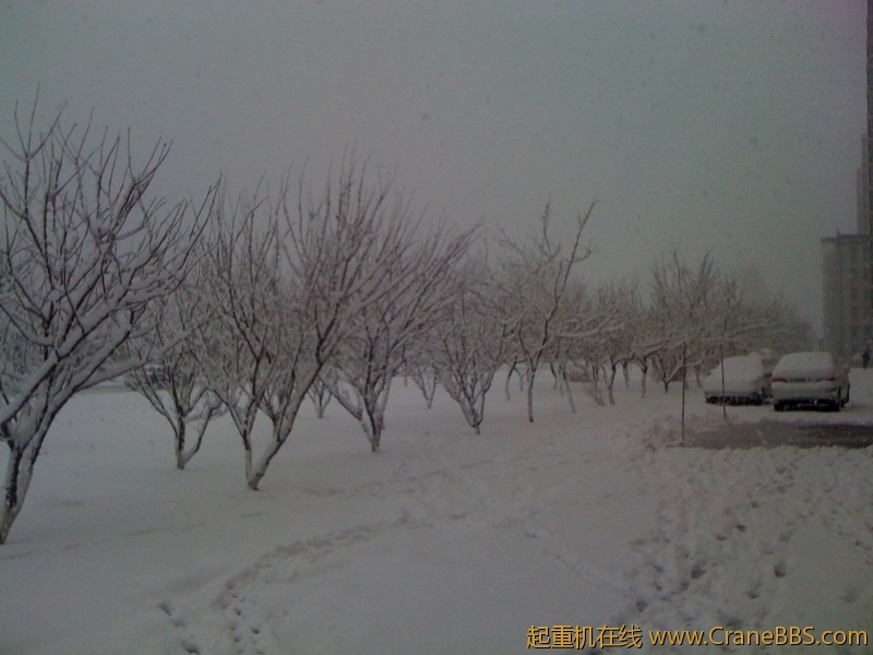 手机照片 6369.jpg