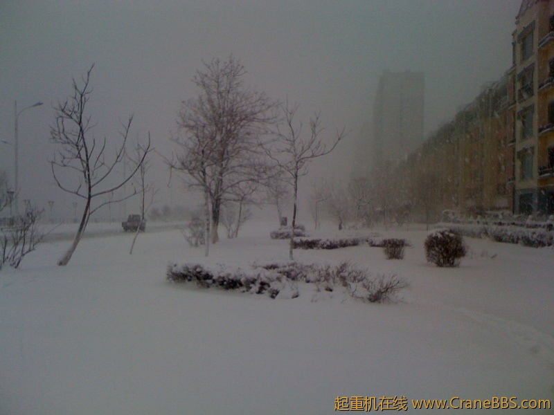 手机照片 6325.jpg