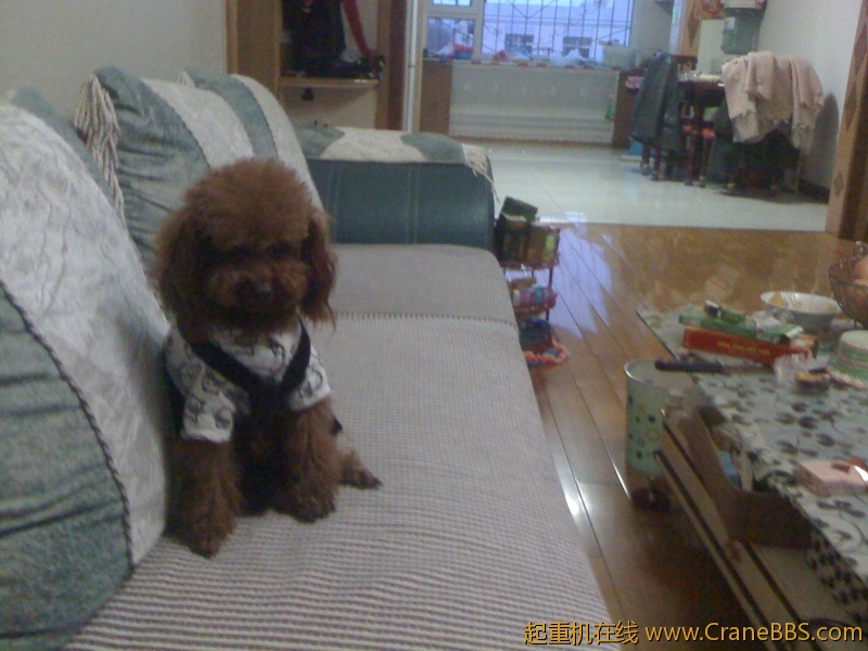 手机照片 6372.jpg