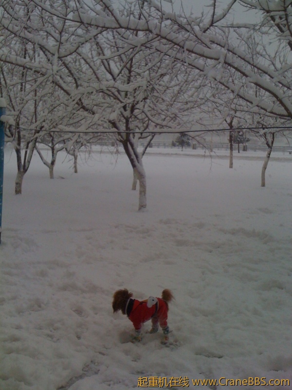 手机照片 6333.jpg