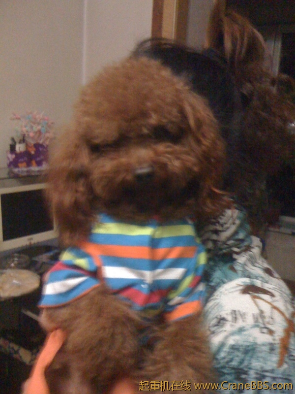 手机照片 6346.jpg