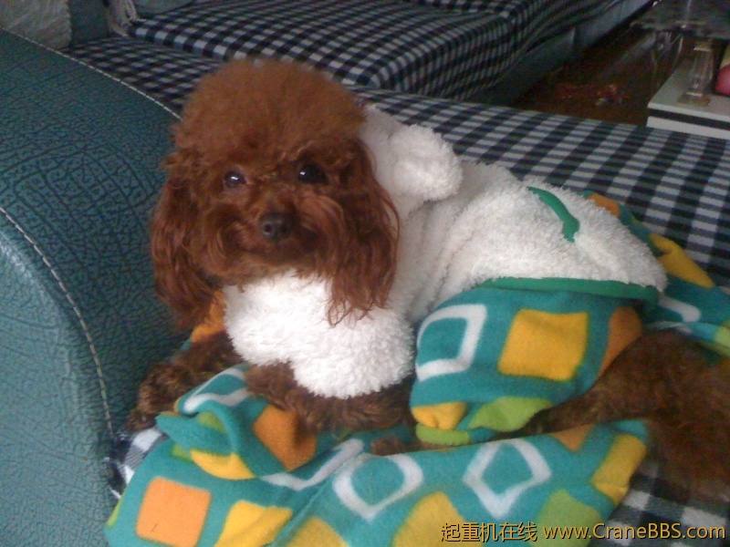 手机照片 6049.jpg