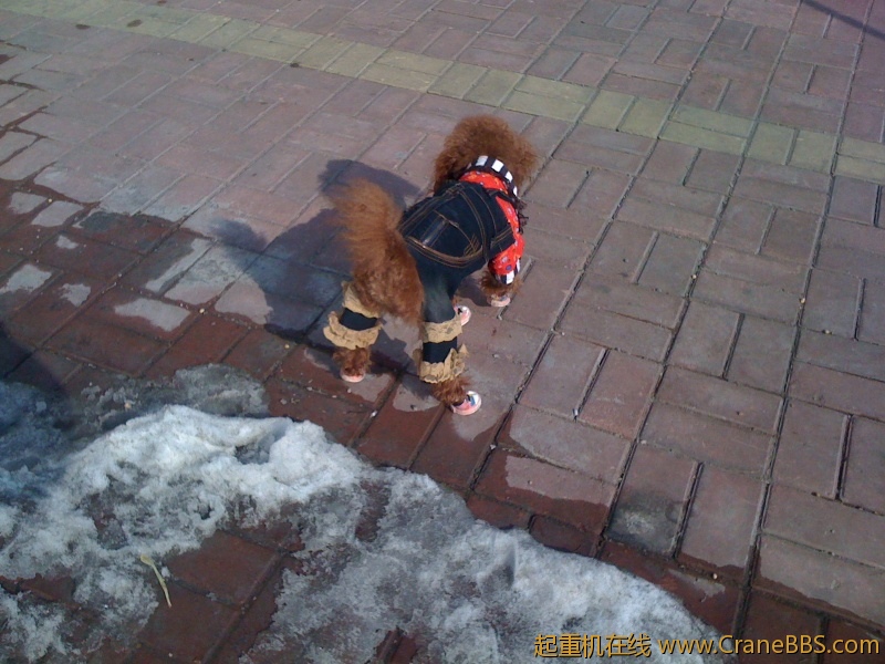 手机照片 043.jpg