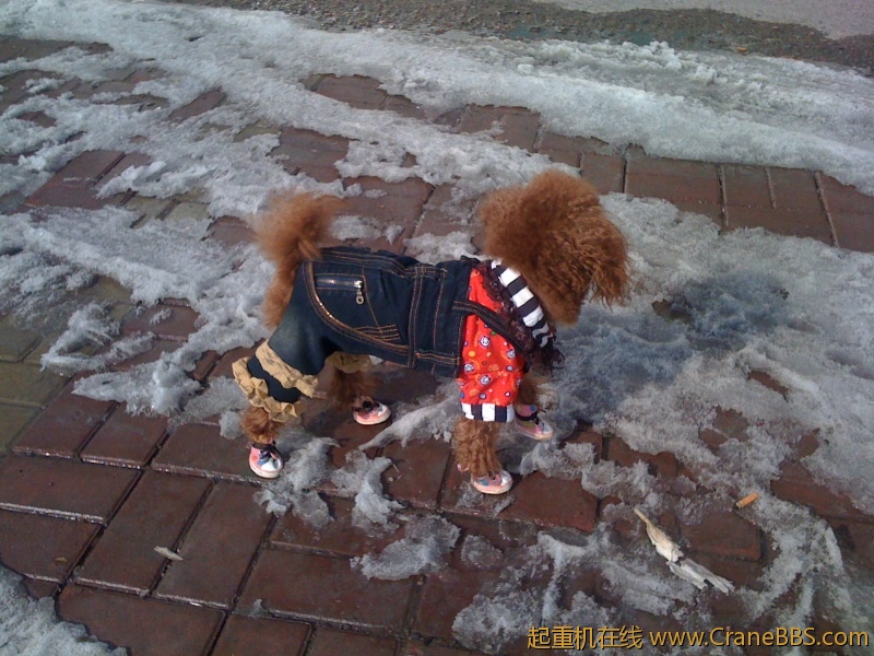 手机照片 006.jpg