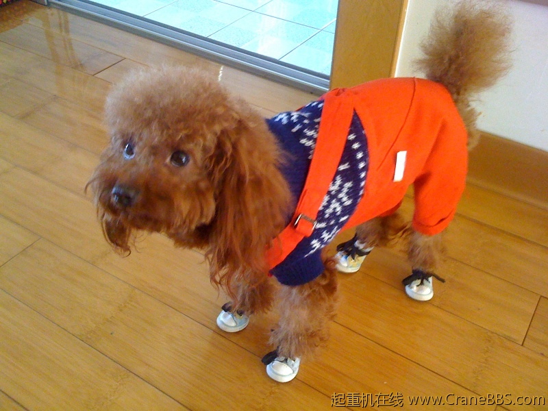 手机照片 6142.jpg