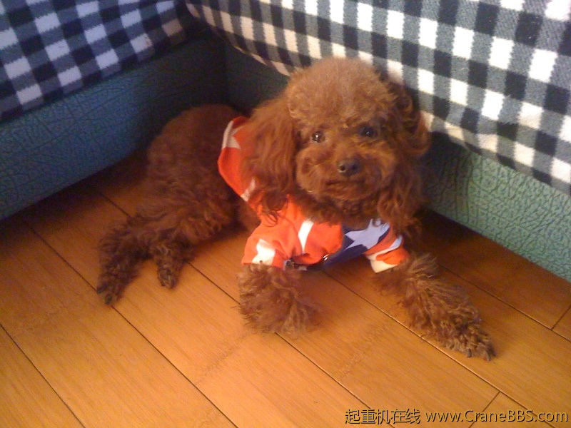 手机照片 6198.jpg