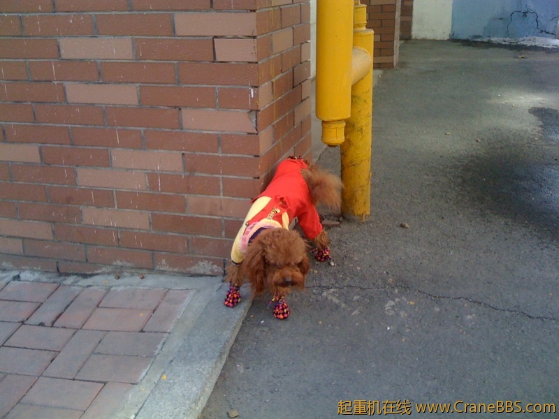 手机照片 6289.jpg