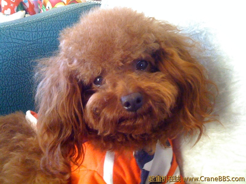 手机照片 6193.jpg