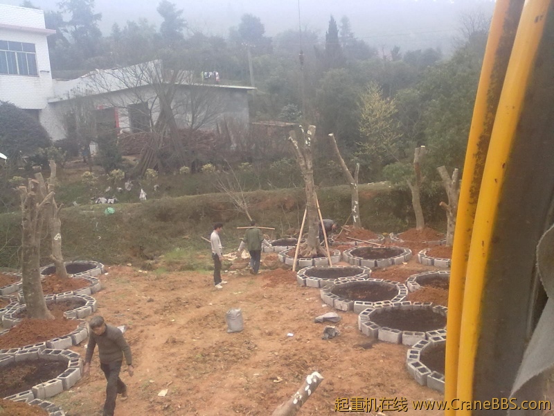 20120313177.jpg