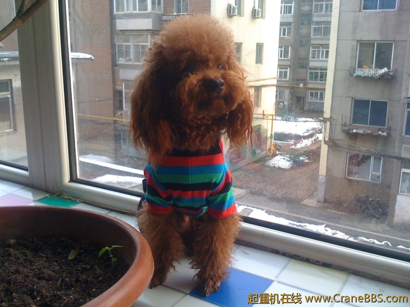 手机照片 6375.jpg