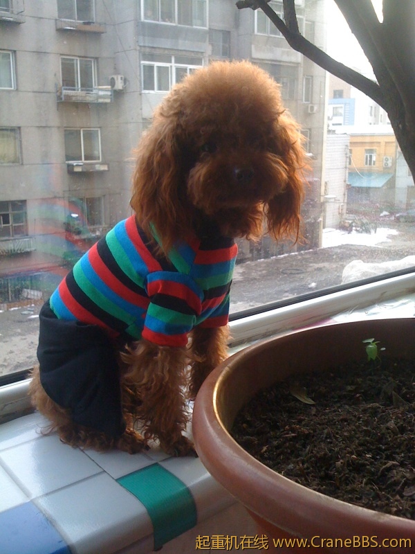 手机照片 6373.jpg