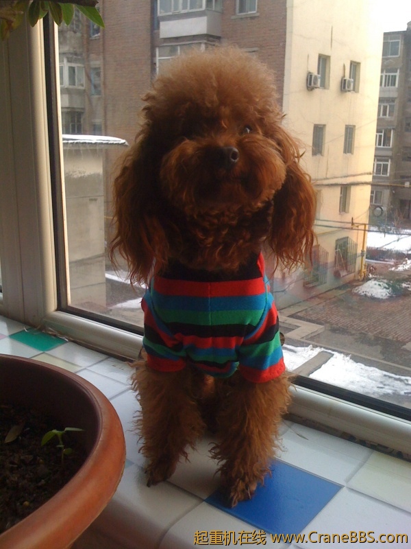 手机照片 6376.jpg