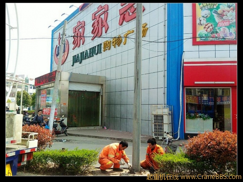 nEO_IMG_lvminghua4568hl110maomao68170.jpg