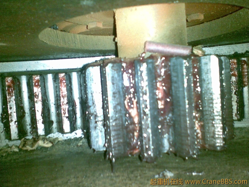 20110405.jpg