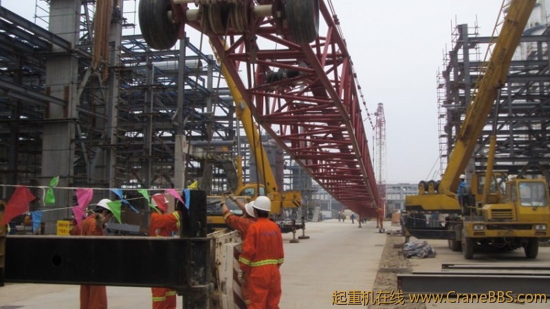 S73F3637_conew1.JPG