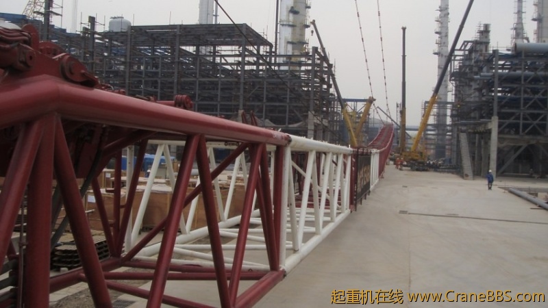 S73F3636_conew1.JPG