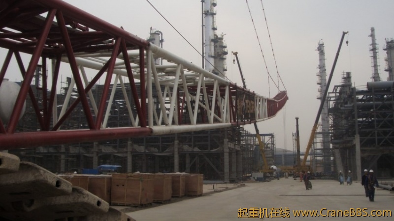 S73F3630_conew1.JPG