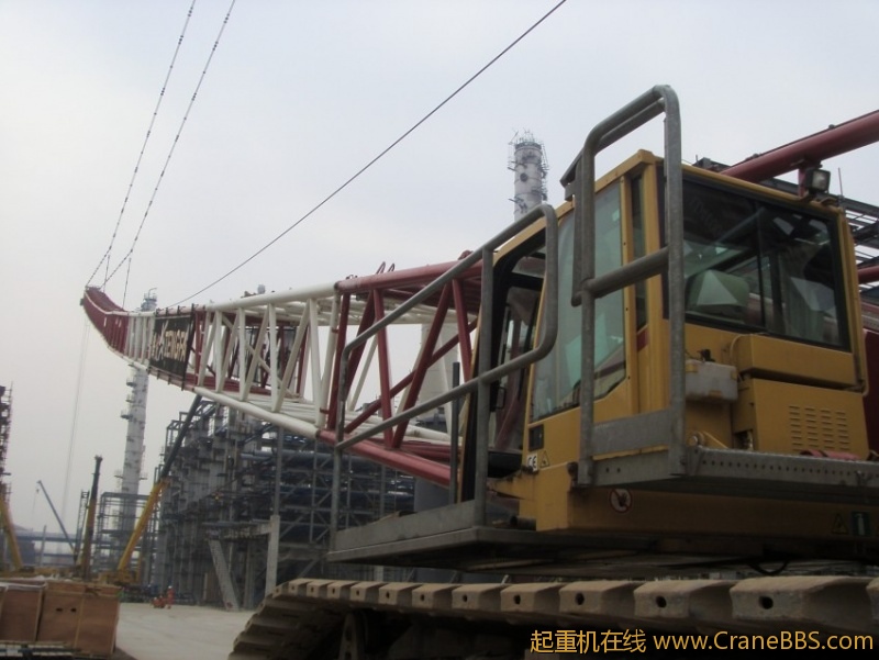 S73F3626_conew1.JPG