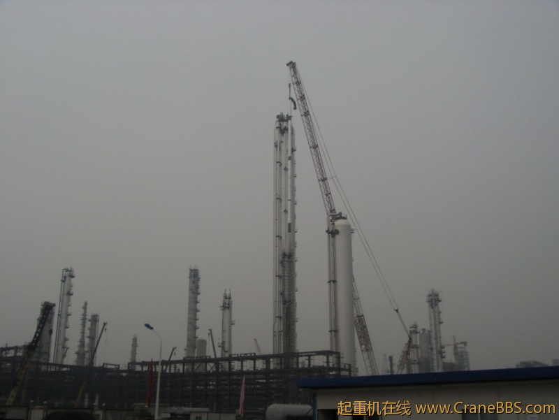 S73F3622_conew1.JPG