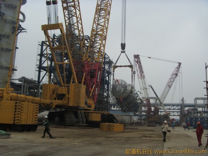 S73F3594_conew1.JPG