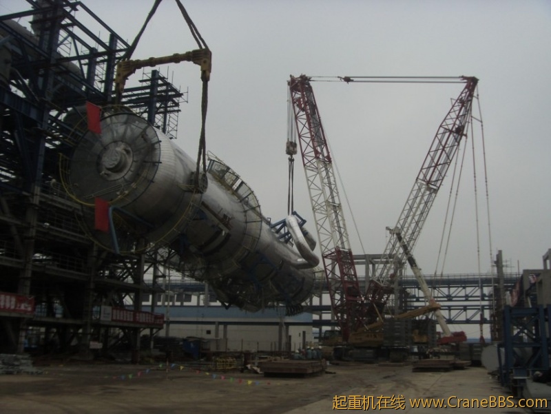 S73F3593_conew1.JPG
