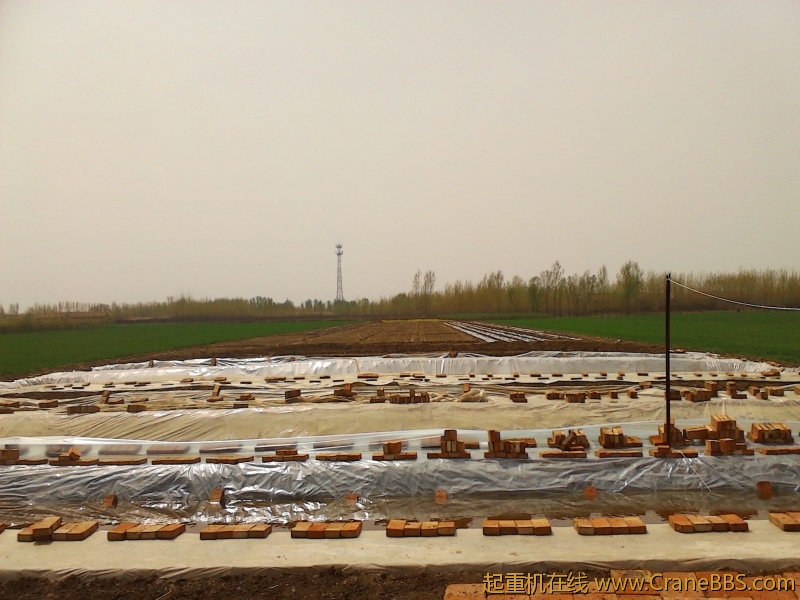 IMG_20120411_114157.jpg