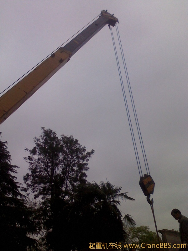 IMG0413160502.jpg