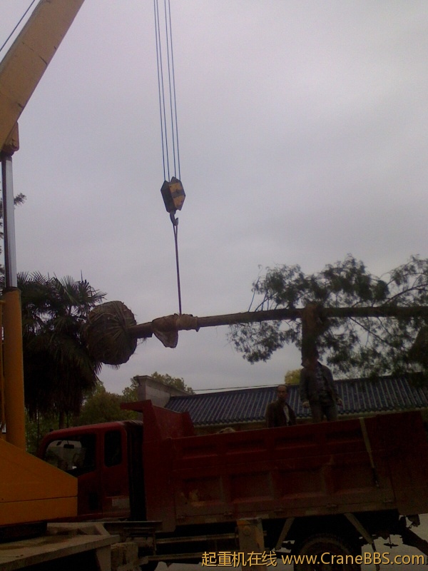 IMG0413160600.jpg