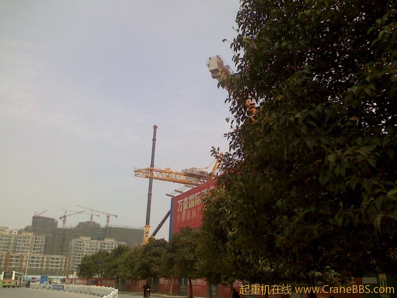 IMG0414121100.jpg
