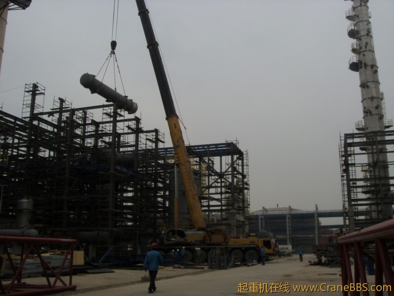 S73F3639_conew1.JPG