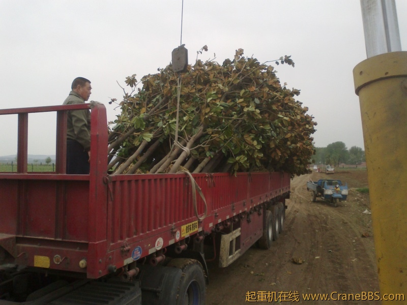 抬的太慢  吊吊歇歇