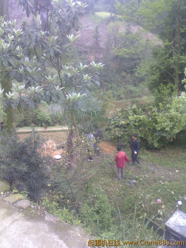 IMG0414134500.jpg