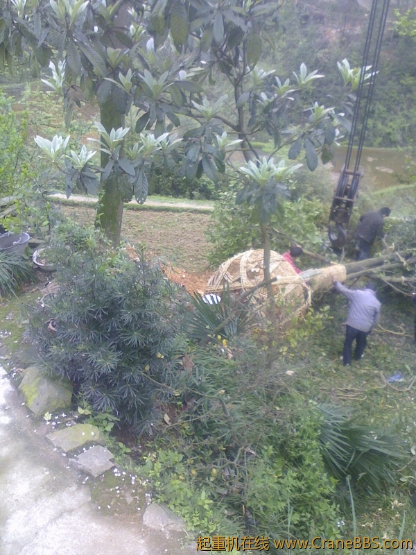 IMG0414142300.jpg