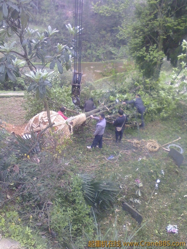 IMG0414142301.jpg