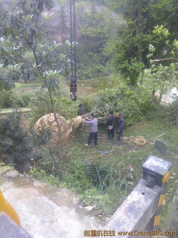 IMG0414142302.jpg