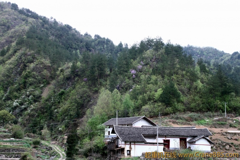 调整大小 IMG_4456.JPG