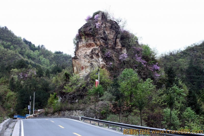 调整大小 IMG_4457.JPG