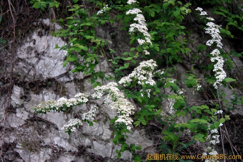 调整大小 IMG_4460.JPG