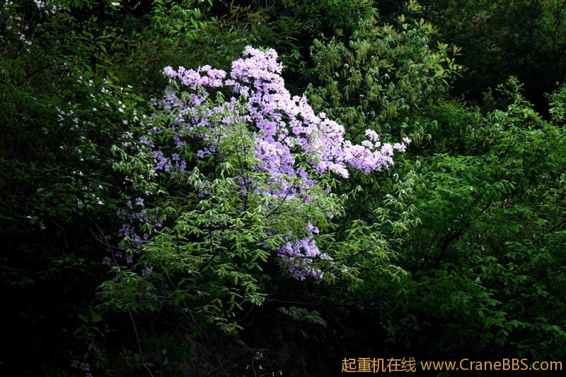 调整大小 IMG_4470.JPG