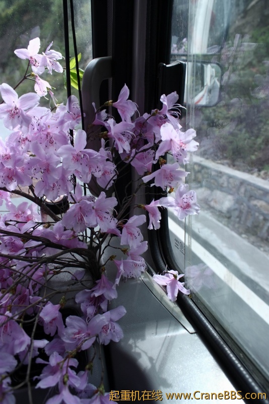 调整大小 IMG_4492.JPG